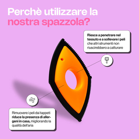 Spazzola x tappeti Sofy mama