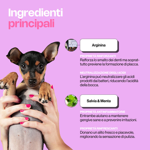 Dentifricio spray Sofy Mama 100ml