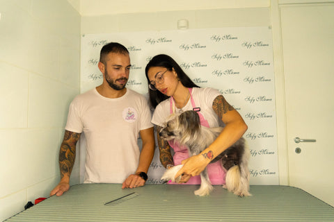 Corsi di toelettatura
