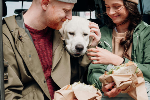 COSA POSSO FAR MANGIARE AL MIO CANE?