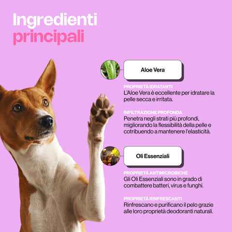 Shampoo lavaggi frequenti Sofy Mama 250ml